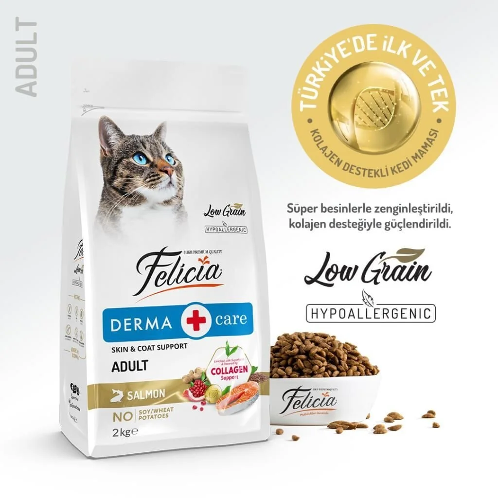 Felicia Somonlu Yetişkin Kedi Maması 2 kg